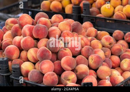 Vue rapprochée de belles pêches roses fraîches mûres sur le comptoir du marché de la rue Banque D'Images