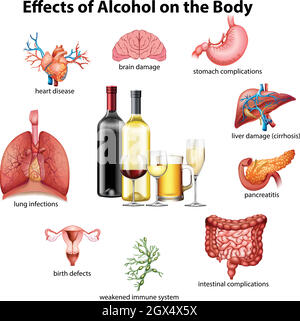 Effets de l'alcool sur le corps Illustration de Vecteur