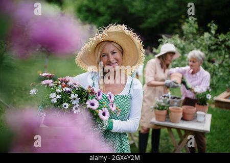 Femme de haut niveau fleuriste transportant une caisse avec des fleurs plantées à l'extérieur dans le jardin, regardant la caméra, concept de jardin communautaire. Banque D'Images