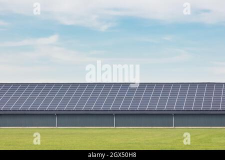 Grandes rangées de panneaux solaires sur une nouvelle grange agricole aux pays-Bas Banque D'Images