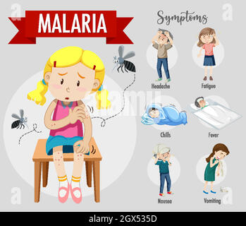 Infographie sur les symptômes du paludisme Illustration de Vecteur