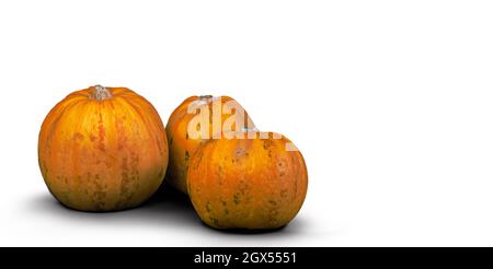 Citrouilles isolées sur fond blanc. Banque D'Images