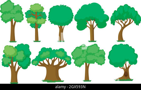 Ensemble d'arbres divers Illustration de Vecteur