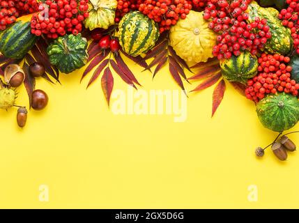 Arrière-plan d'automne avec citrouilles, baies de rogane et feuilles colorées sur fond jaune vif.Joyeux Thanksgiving et concept de récolte.Pose à plat Banque D'Images