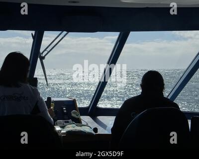 Baie des îles, Nouvelle-Zélande.22 octobre 2012 Banque D'Images