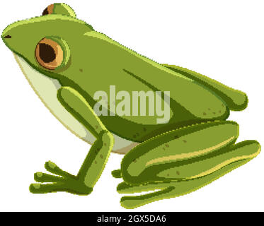 Personnage de dessin animé de grenouille verte isolé Illustration de Vecteur