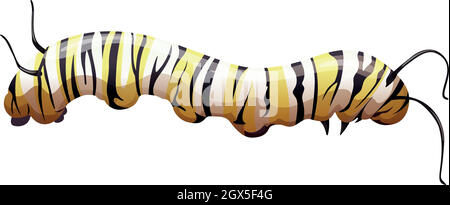 Monarque papillon - Danaus plexippus - stade larve Illustration de Vecteur