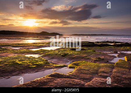 Sunset Embleton Bay avec des rochers recouverts d'algues sur l'estran Embleton Bay Northumberland Coast Angleterre GB Royaume-Uni Europe Banque D'Images