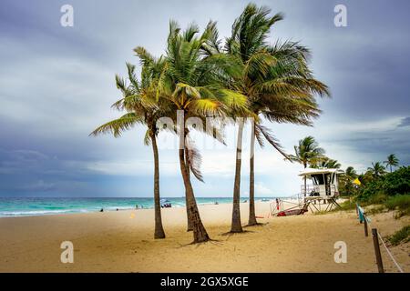 Les élégantes zones d'accès à la plage le long de North fort Lauderdale Beach Boulevard Banque D'Images