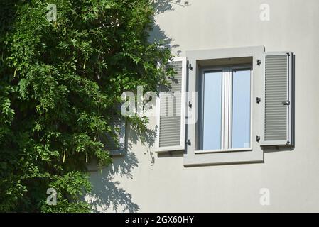 Volets de fenêtre en plastique gris sur un bâtiment résidentiel avec usine d'escalade Banque D'Images
