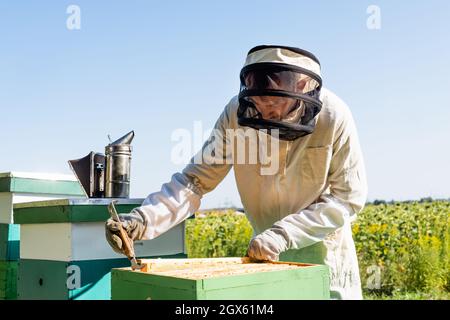 apiculteur extrayant le cadre en nid d'abeille de la ruche sur l'apilier Banque D'Images