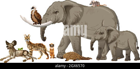 Groupe d'animaux sauvages africains sur fond blanc Illustration de Vecteur