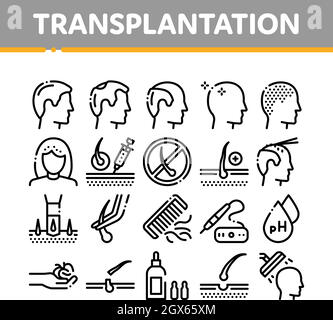 Collection de transplantation de cheveux icônes Set Vector Illustration de Vecteur