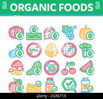 Les aliments organiques Eco Collection Icons Set Vector Illustration de Vecteur