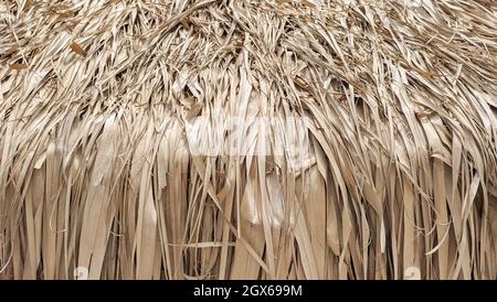 fragment de parasol en paille. parasol en chaume sur une plage. texture gros plan Banque D'Images