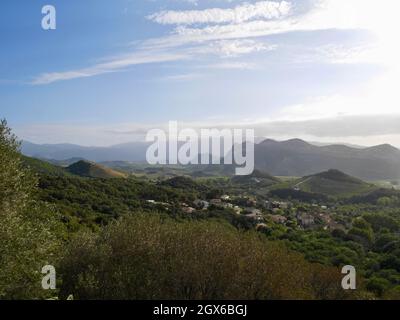 Vue aérienne sur les vignobles des collines du Patrimonio au coucher du soleil. Corse, France. Banque D'Images