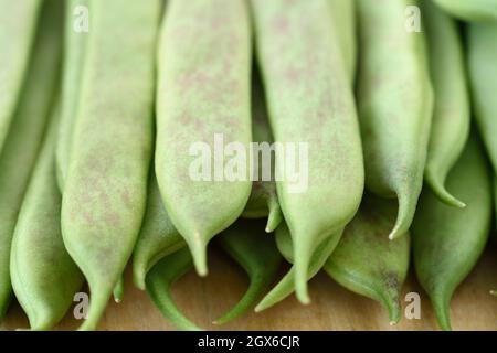 Phaseolus vulgaris 'Borlotto di Vigevano nano' Dwarf haricots français cueillis jeunes gousses à utiliser entiers comme haricots verts juillet Banque D'Images