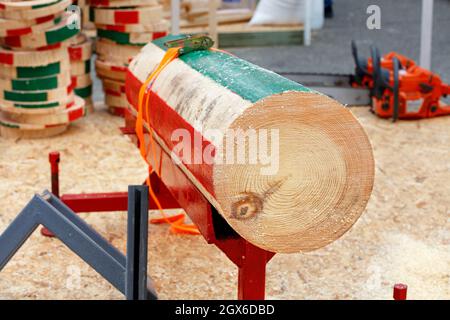 Anneaux circulaires d'une bûche de marquage gros plan sur le site de compétition des bûcherons sur le fond des tronçonneuses et des tranches de bois en flou. Banque D'Images