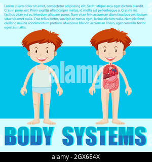 Systèmes de corps de garçon Illustration de Vecteur