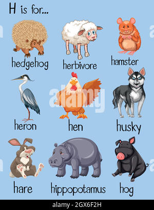 Beaucoup de mots commencent par la lettre H. Illustration de Vecteur
