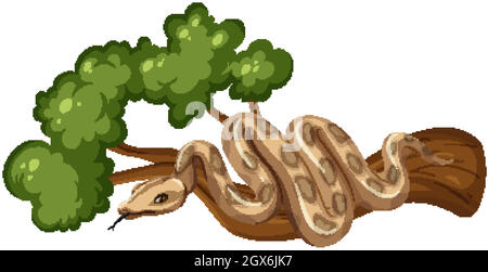 Serpent sur une branche isolée sur fond blanc Illustration de Vecteur