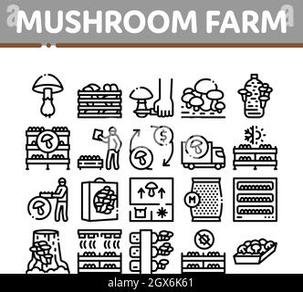 Les icônes de la collection de plantes de ferme de champignons définissent le vecteur Illustration de Vecteur