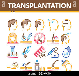 Collection de transplantation de cheveux icônes Set Vector Illustration de Vecteur