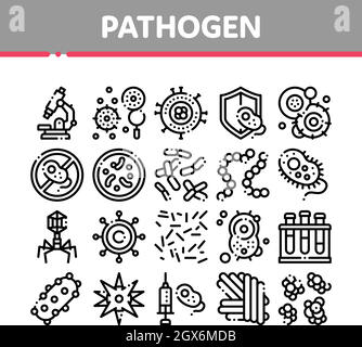 Vecteur de collecte des éléments pathogènes Sign Icons Set Illustration de Vecteur