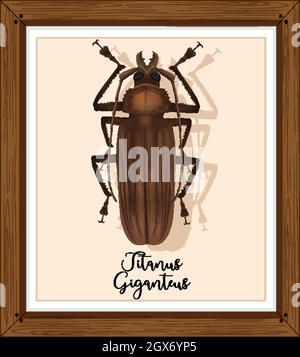 TITANUS giganteus sur cadre en bois Illustration de Vecteur