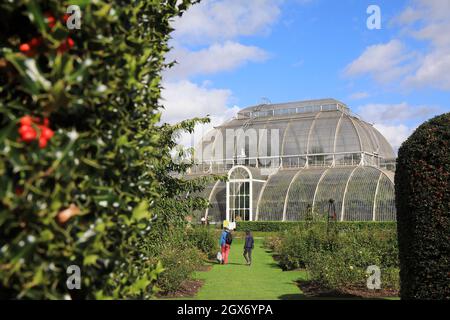 The Palm House, sous le soleil d'automne, à Kew Gardens, dans le sud-ouest de Londres, Royaume-Uni Banque D'Images