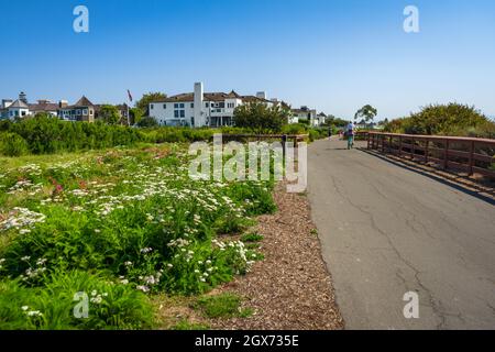 Newport Beach, Californie, États-Unis – 12 août 2021 : piste cyclable et de randonnée à côté des fleurs sauvages au parc Castaways de Newport Beach, Californie. Banque D'Images