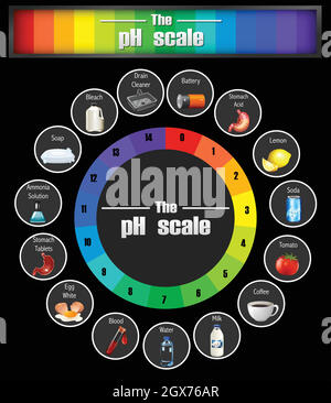 Modèle d'échelle de pH scientifique Illustration de Vecteur