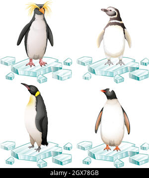 Différents types de pingouins sur la glace Illustration de Vecteur