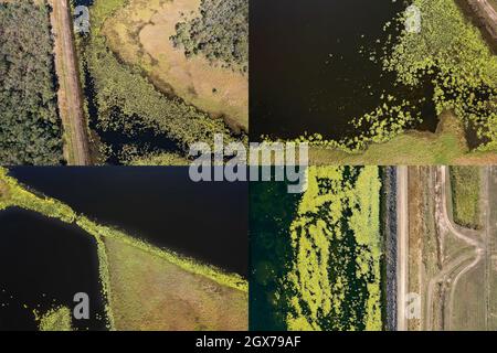 Assemblage d'images de paysages abstraits aériens sur la mer et la terre, mis en évidence par des plantes aqua vert jaunâtre. Barrage de Kinchant, Mackay, Queenslan Banque D'Images