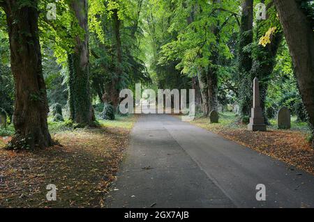 Une longue route arborée menant à travers les bois au cimetière victorien de Boston Banque D'Images