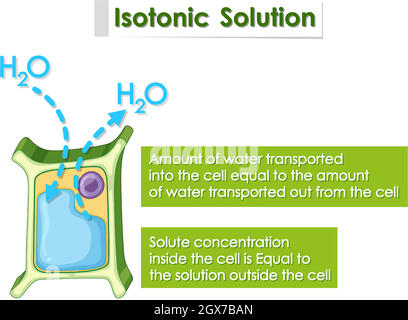 Schéma montrant la solution isotonique Illustration de Vecteur