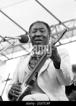 Le Bluesman américain Muddy Waters se présente au festival de jazz de la radio Capital à Knebworth, en Angleterre, en juillet 1981. Banque D'Images