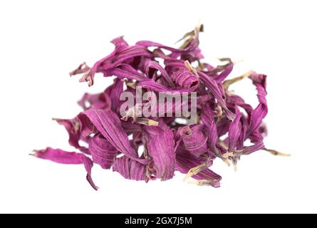 Fleurs d'échinacée séchées, isolées sur fond blanc. Pétales d'échinacée purpurea. Herbes médicinales. Banque D'Images