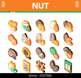 Nut Food différentes icônes isométriques définissent le vecteur Illustration de Vecteur