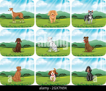 Ensemble de chiens dans la scène du parc Illustration de Vecteur
