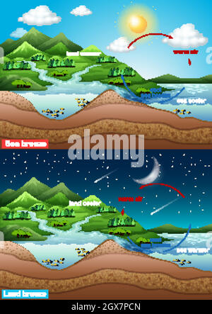 Schéma montrant la brise marine et terrestre Illustration de Vecteur