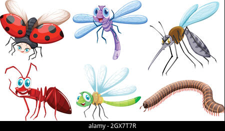 Différents types d'insectes Illustration de Vecteur