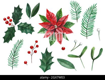 Grand ensemble de plantes de Noël et de baies, poinsettia, houx et GUI isolé sur fond blanc comme éléments de conception clip art. Banque D'Images