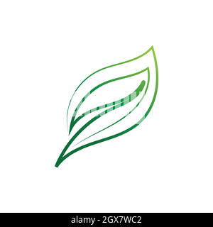 Logo de la nature vert feuille et vecteur de symbole Illustration de Vecteur