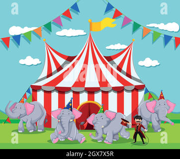 Spectacle d'éléphants au cirque Illustration de Vecteur