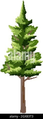 Un seul arbre de forêt tropicale isolé sur fond blanc Illustration de Vecteur