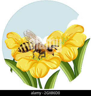 Abeille sur fleur jaune sur fond blanc Illustration de Vecteur