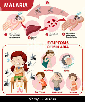 Infographie sur les symptômes du paludisme Illustration de Vecteur