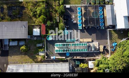 Vue aérienne d'une installation aquacole à Hawaï, Oahu, Hawaii, États-Unis Banque D'Images