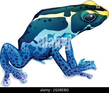 Poison dart frog Illustration de Vecteur